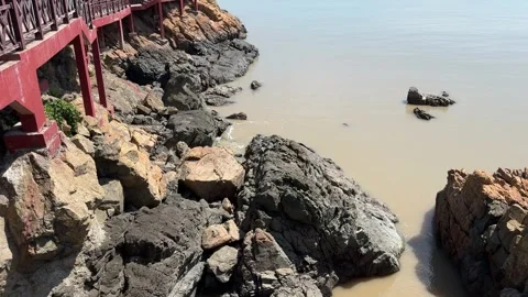 Sand beach Stock-Footage 313349710