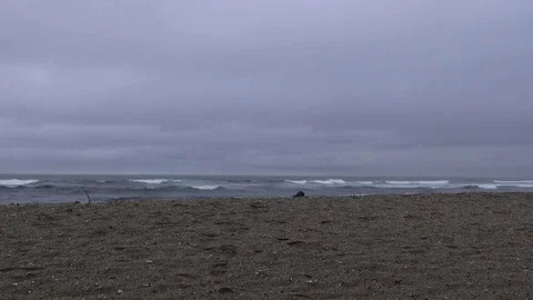 Sand beach on a grey cloudy day Stock Footage 81635391