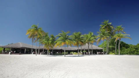 Sand beach with palm trees and restaurant Stock Footage 1018528