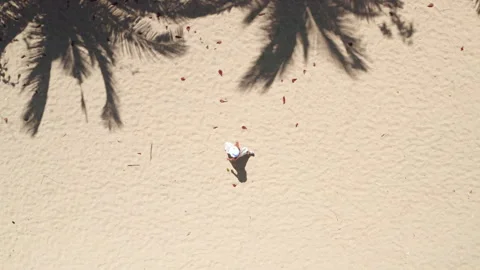 Sand beach palm trees background aerial top view Stock Footage 265083901