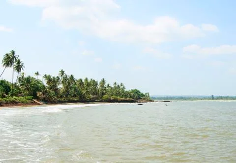 Sand beach with palm trees Foto stock