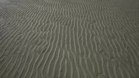 Sand beach pattern Vídeo Stock 130662123