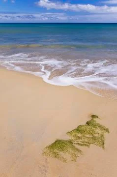 Sand on the beach Stock Photos