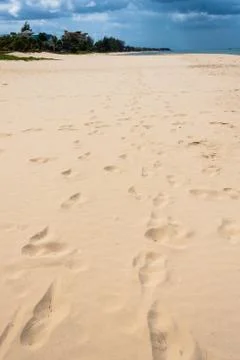 Sand of beach Stock Photos