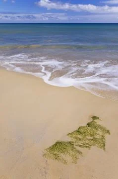 Sand on the beach Stock Photos