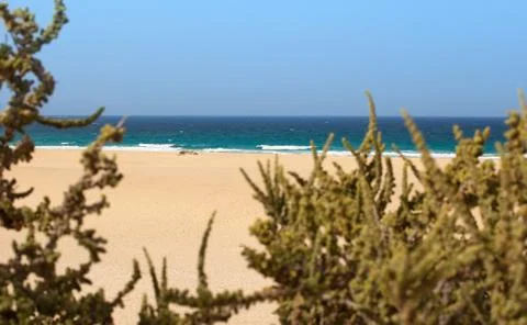 Sand beach Stock Photos