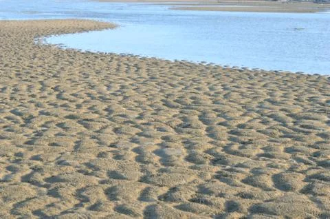 Sand beach Stock Photos