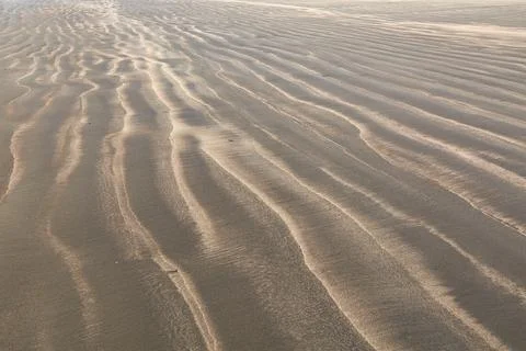 Sand of a beach Stock Photos