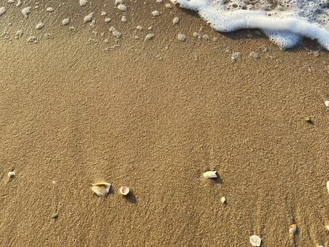 Sand on the  beach Stock Photos