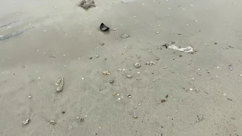 Sand beach with plastic waste and muddy sea water Stock Footage 294851180