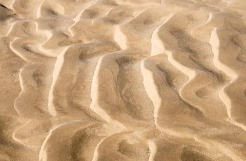 Sand beach on the river. Stock Photos