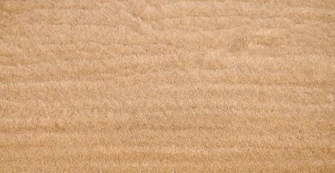 Sand beach on the river. 스톡 사진