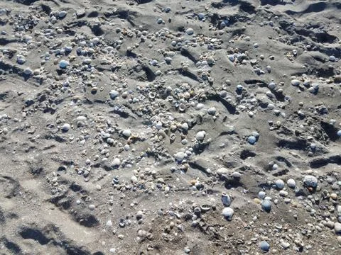 Sand at beach with shells and foot prints Stock Photos