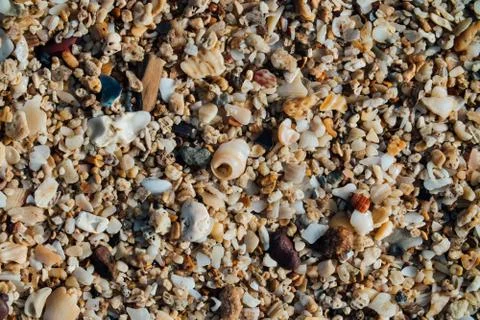 Sand on the beach with small seashells. Background texture, macro Stock Photos