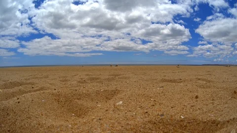 Sand beach with small shells and rocks, seagulls flying and running by beach Stock Footage 92438391