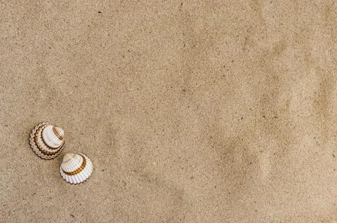 Sand beach summer background with seashells on sand Stock Photos