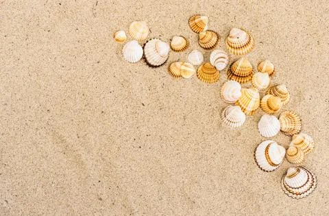 Sand beach summer background with seashells on sand Stock Photos