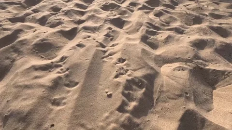 Sand on a beach. Summer concept Video stock 246408314