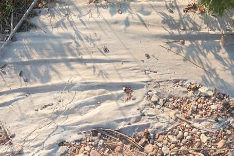 Sand, beach with sunlight and shadows from plants. Background for design. Nature Stock Photos