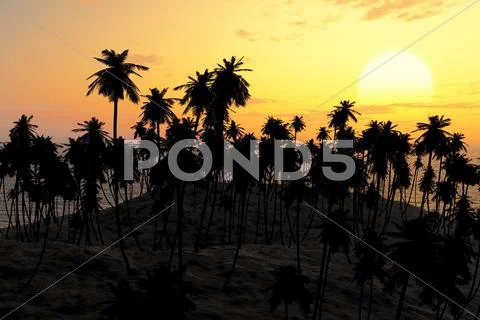 Sand beach at sunset Stock Illustration