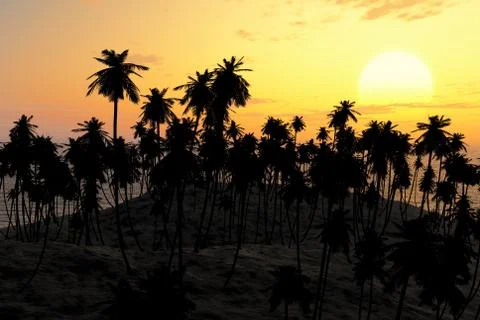 Sand beach at sunset Stock Illustration