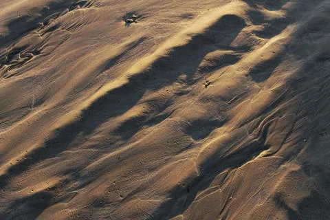 Sand on the beach at sunset texture 스톡 사진
