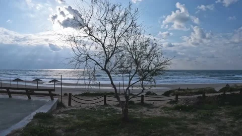 Sand beach with tree in sunset, sunrise, Smooth shooting around the tree. Stockbeeldmateriaal 196181914