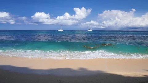 Sand beach washed by ocean with yachts on background Stock Footage 81216109