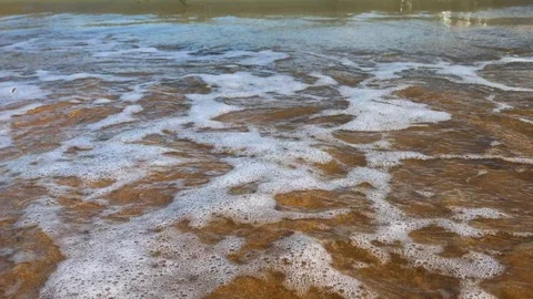 Sand beach with waves and sea foam Stock Footage 93154686