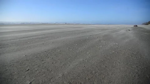 Sand being blown away by wind Stock Footage 161772794