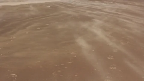 Sand blowing across beach Stock Footage 77955977