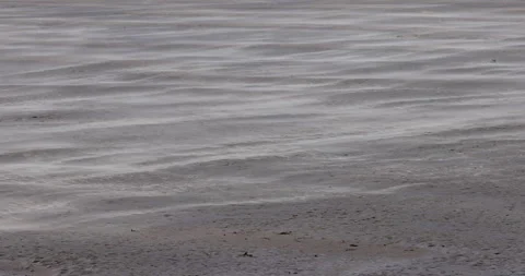 Sand blowing across a mud flat in an estuary in north Wales. Stock Footage 337417302