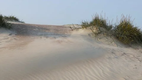 Sand blowing on the Baltic sea beach Stock Footage