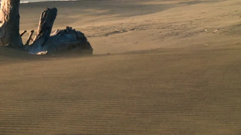 Sand blowing on beach, heavy wind Stock Footage 55057471