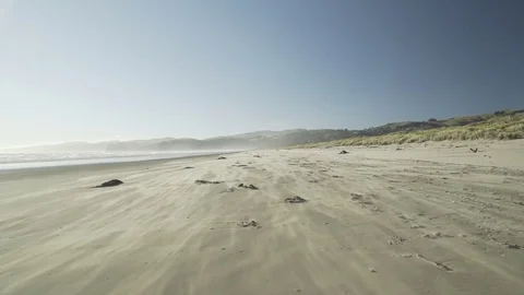 Sand Blowing Down Long Beach (4k) Stock Footage 92449984