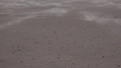 Sand Blowing Video stock 316921181