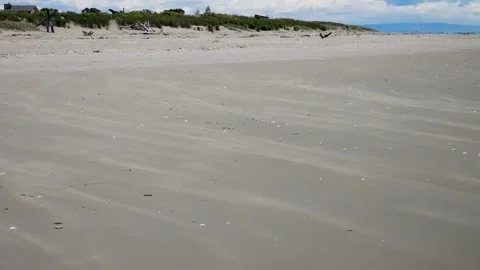 Sand blowing on large empty beach with seagulls, New Zealand. Stock Footage 260775502