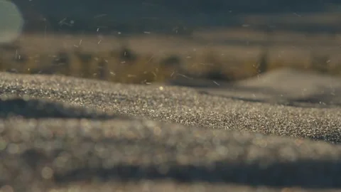 Sand Blowing Over Sand Dunes 4K Stock Footage 146548161