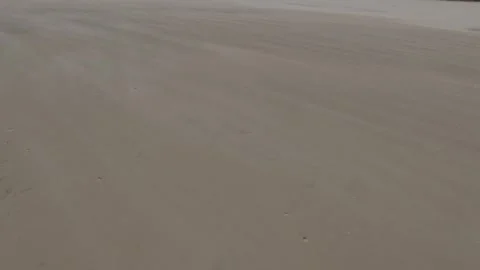 Sand blowing wind Stock Footage 254459818