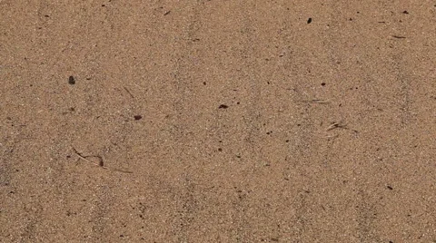 Sand Blown by Wind Stock Footage 48895758