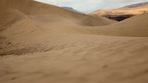 Sand blows on dune in desert Stock Footage 10837700