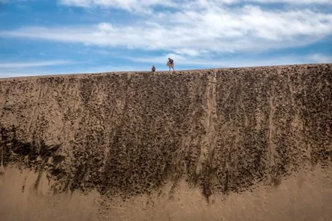 Sand boarding down a huge dune Stock Photos