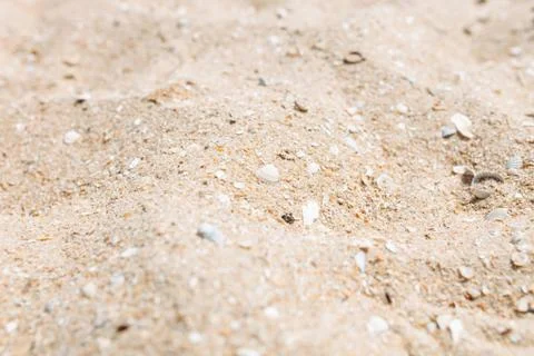 Sand close-up, sand texture, empty beach, Sunny day, isolated Stock-Fotos