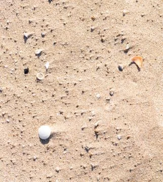 Sand components Stock Photos