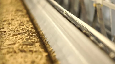 Sand on conveyor Video stock 303137346