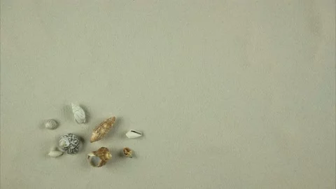 Sand covers whole background. In corner are a few shells. Large space for text Stock Footage 194413767