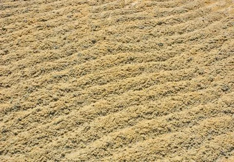 Sand crab markings texture Stock Photos