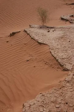 Sand crust 写真素材