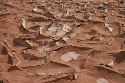 Sand crust 写真素材