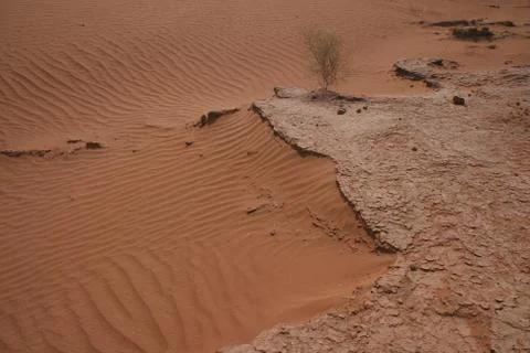 Sand crust 写真素材